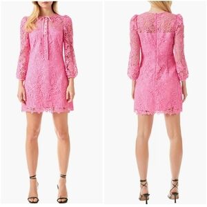 Endless Rose Lace 3/4 Long Sleeve Mini Dress Medium Pink
